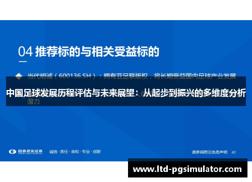 中国足球发展历程评估与未来展望：从起步到振兴的多维度分析